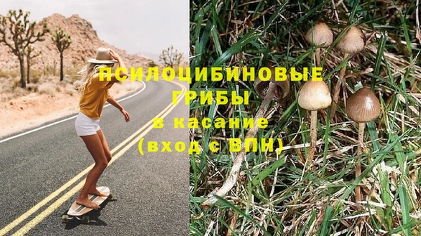 прущая мука Белокуриха