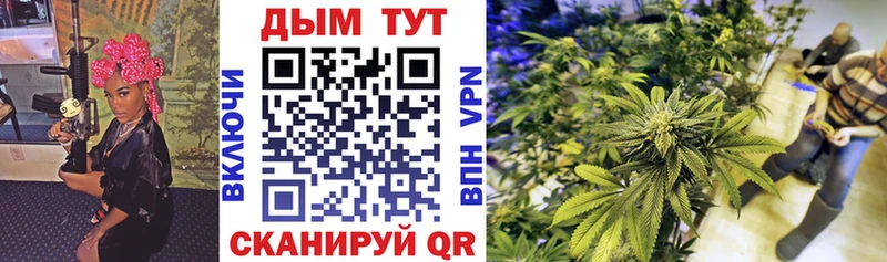Бошки марихуана Bruce Banner  где найти   Жигулёвск 